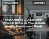Comparison between freelance web developers and web development agencies